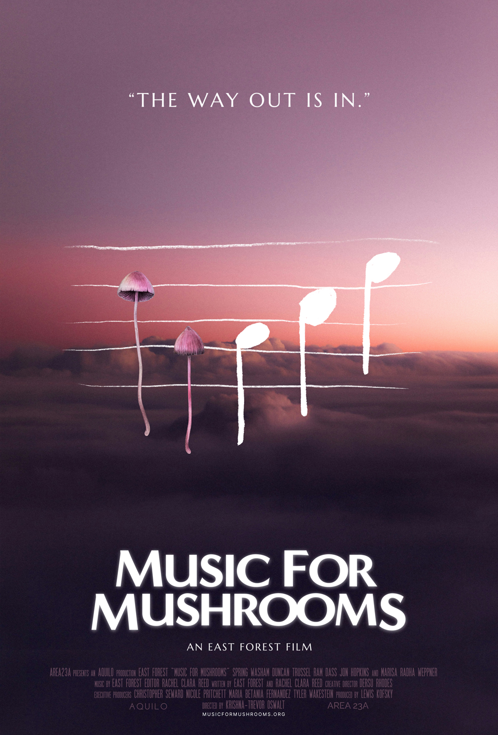 Music-4-Mushrooms_Official-Key-Art_27x40 (1)